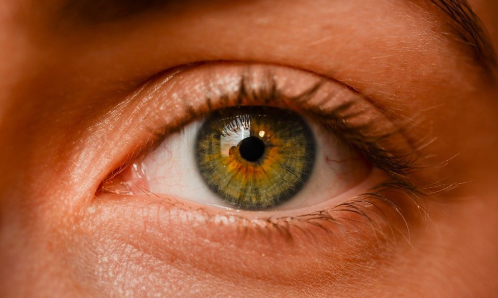 Oczy to osobliwy organ. To dokładnie dzięki nim odczuwamy.
