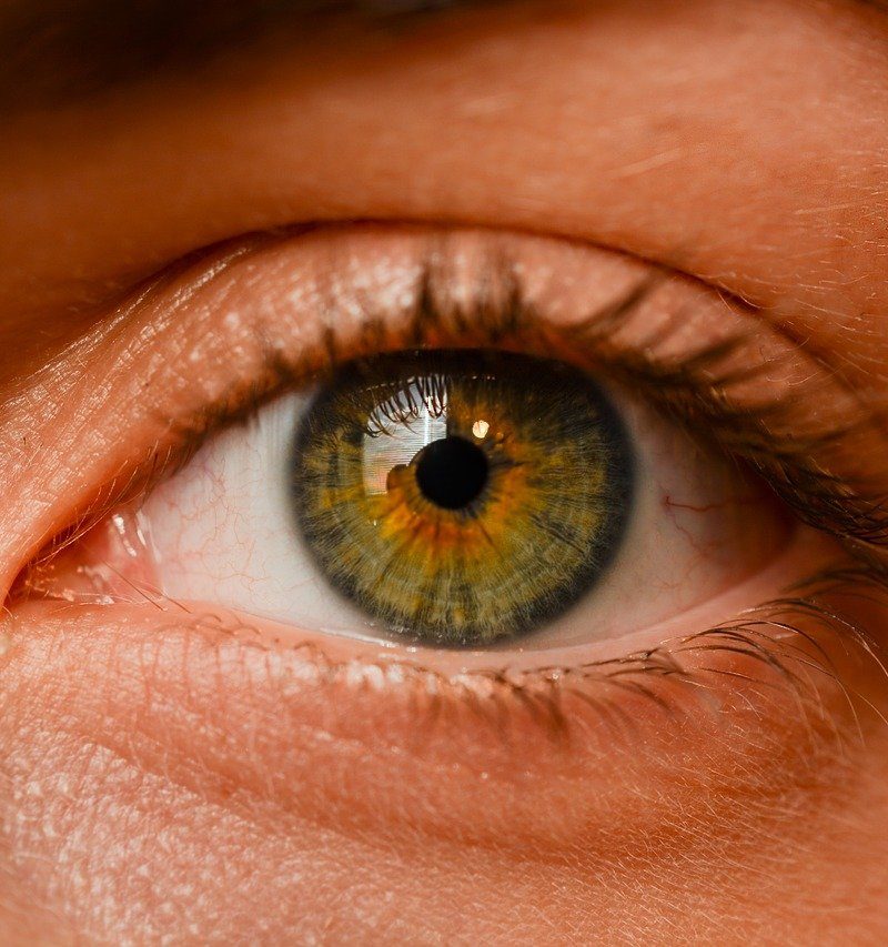 Oczy to osobliwy organ. To dokładnie dzięki nim odczuwamy.